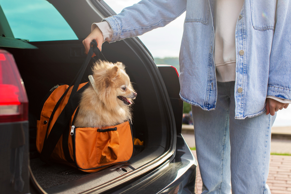 Pet Taxis